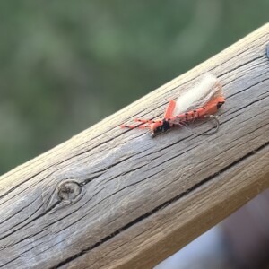 The "Breaking Bad" salmonfly pattern